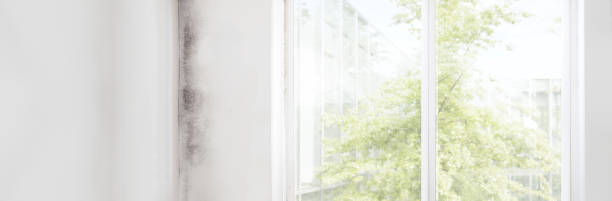  Keno, OR Mold Removal Pros